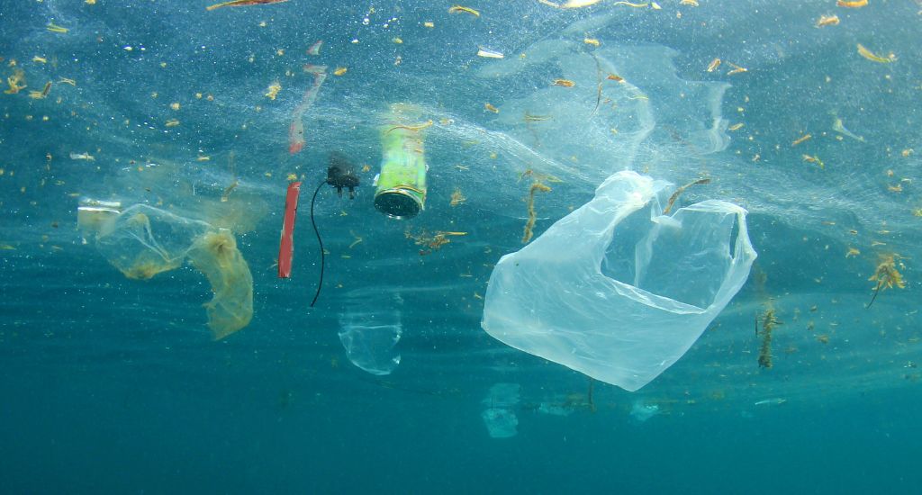 The Menace of Single-Use Plastic